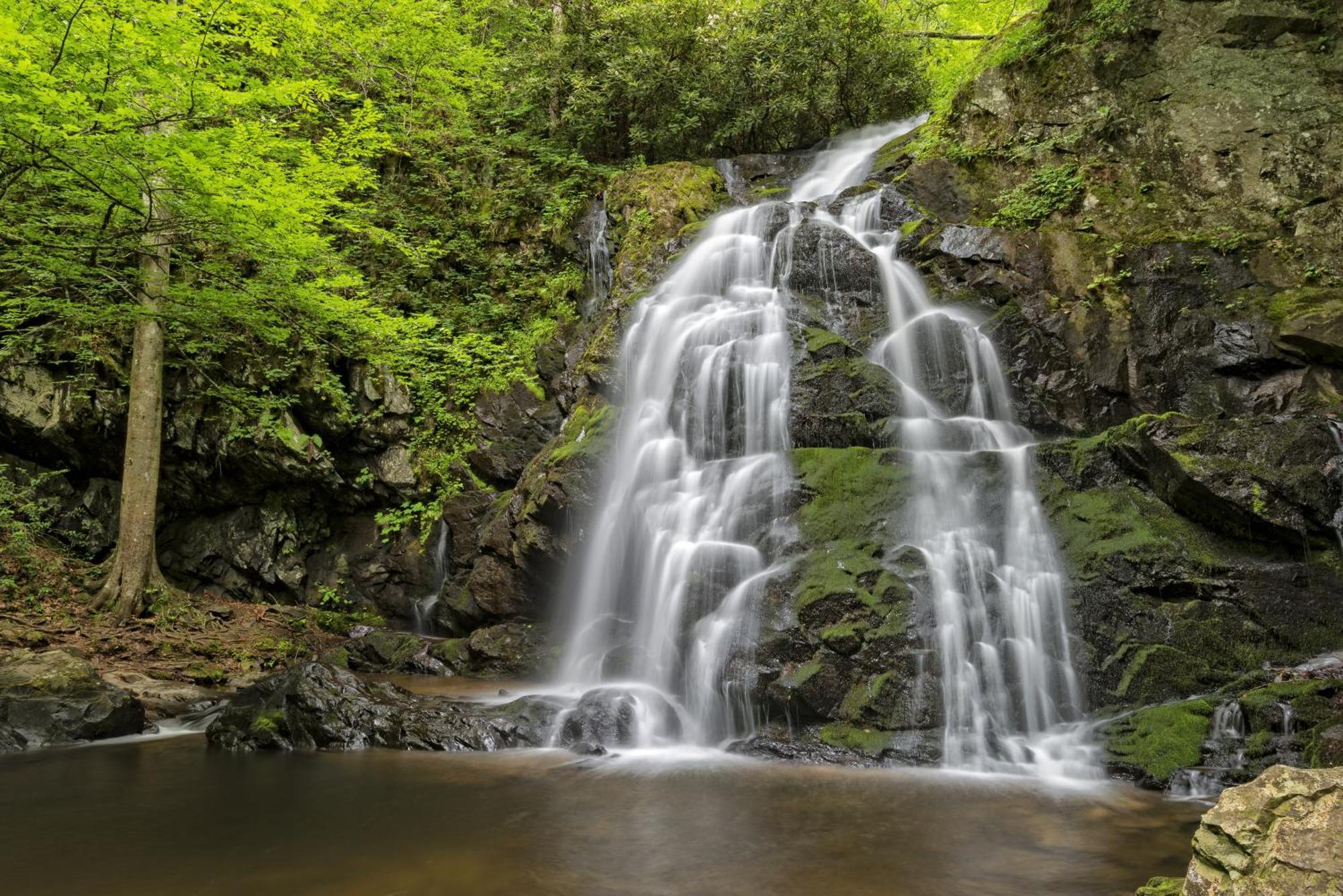 Magical Moments, Hot Tub, Wifi, 1089 Free Tickets Each Paid Day, Dollywood And More Gatlinburg Extérieur photo