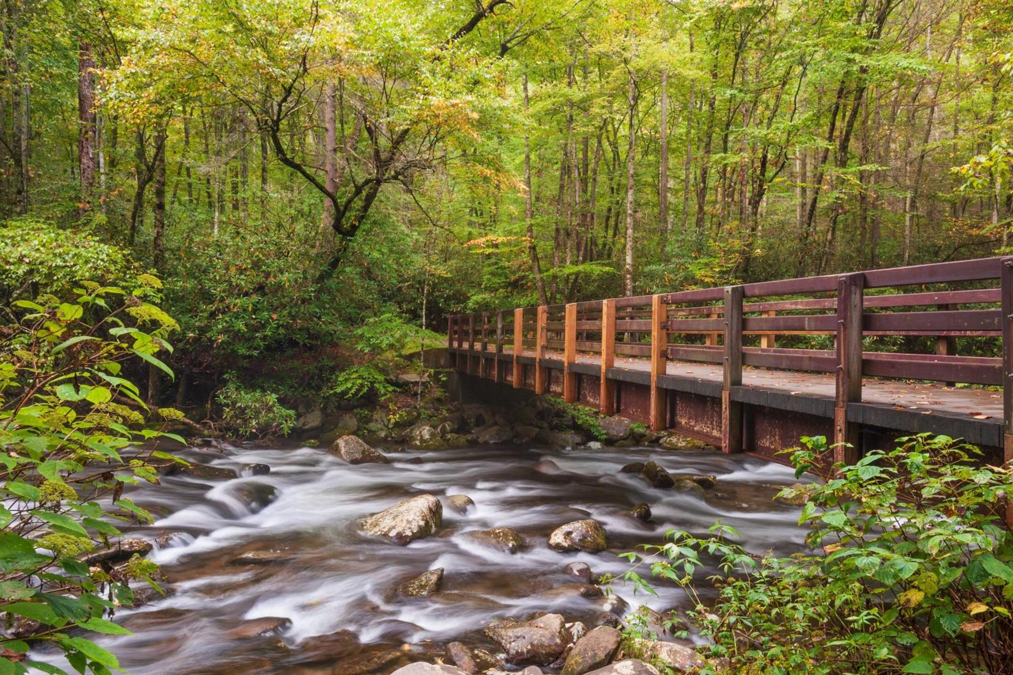 Magical Moments, Hot Tub, Wifi, 1089 Free Tickets Each Paid Day, Dollywood And More Gatlinburg Extérieur photo